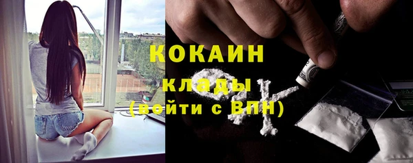 прущие грибы Балабаново