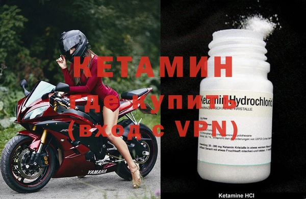 прущие грибы Балабаново