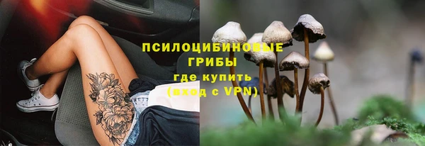 прущие грибы Балабаново