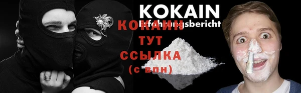 индика Баксан