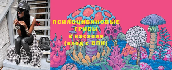 индика Баксан