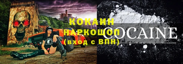 прущие грибы Балабаново