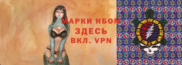 индика Баксан