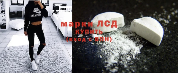 прущие грибы Балабаново