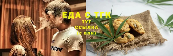 индика Баксан