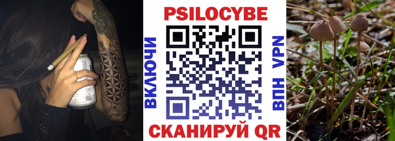 купить наркоту  KRAKEN tor  Псилоцибиновые грибы Cubensis  Лесной 